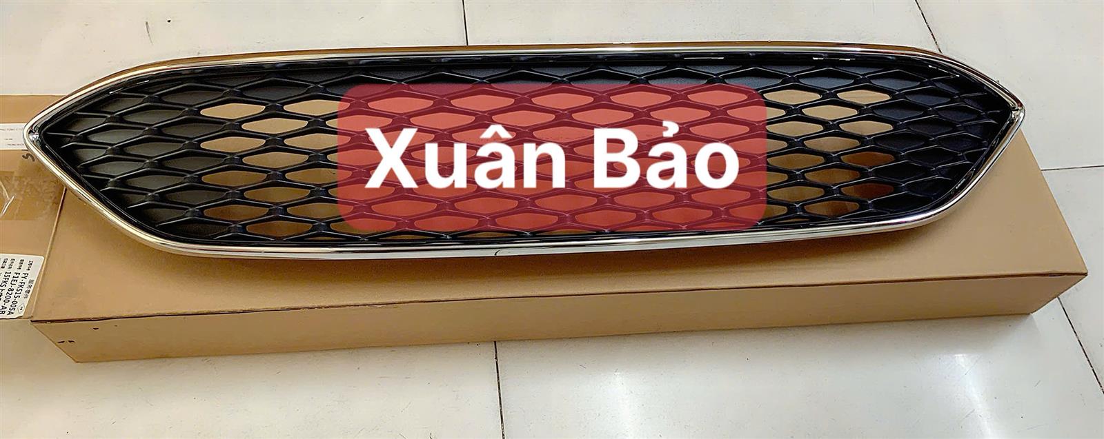 Lưới cản Ford Focus 2015-2018 TH ( tổ ong viền xi) 