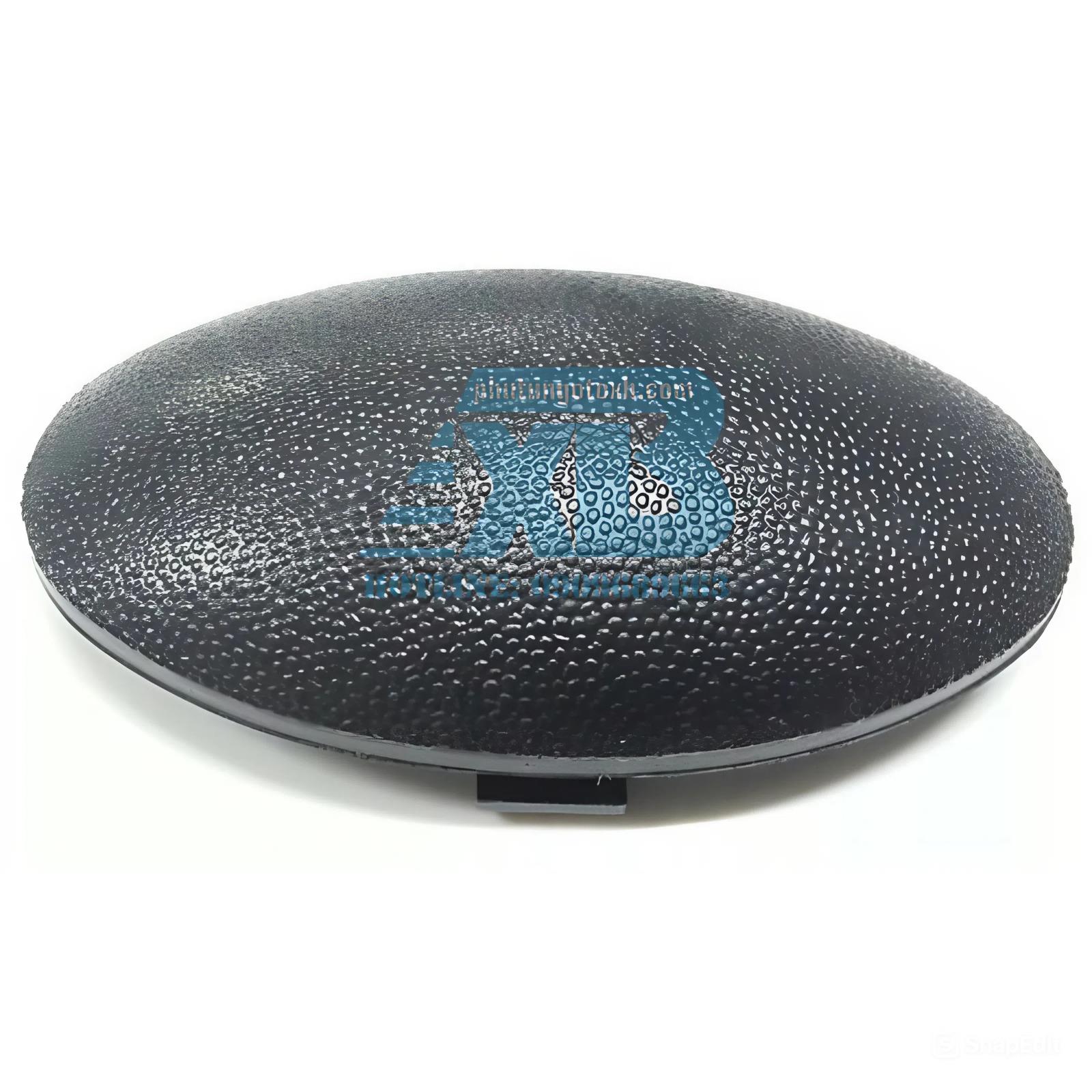 Nắp đậy lỗ kính chiếu hậu TRANSIT 2009-2014 CH