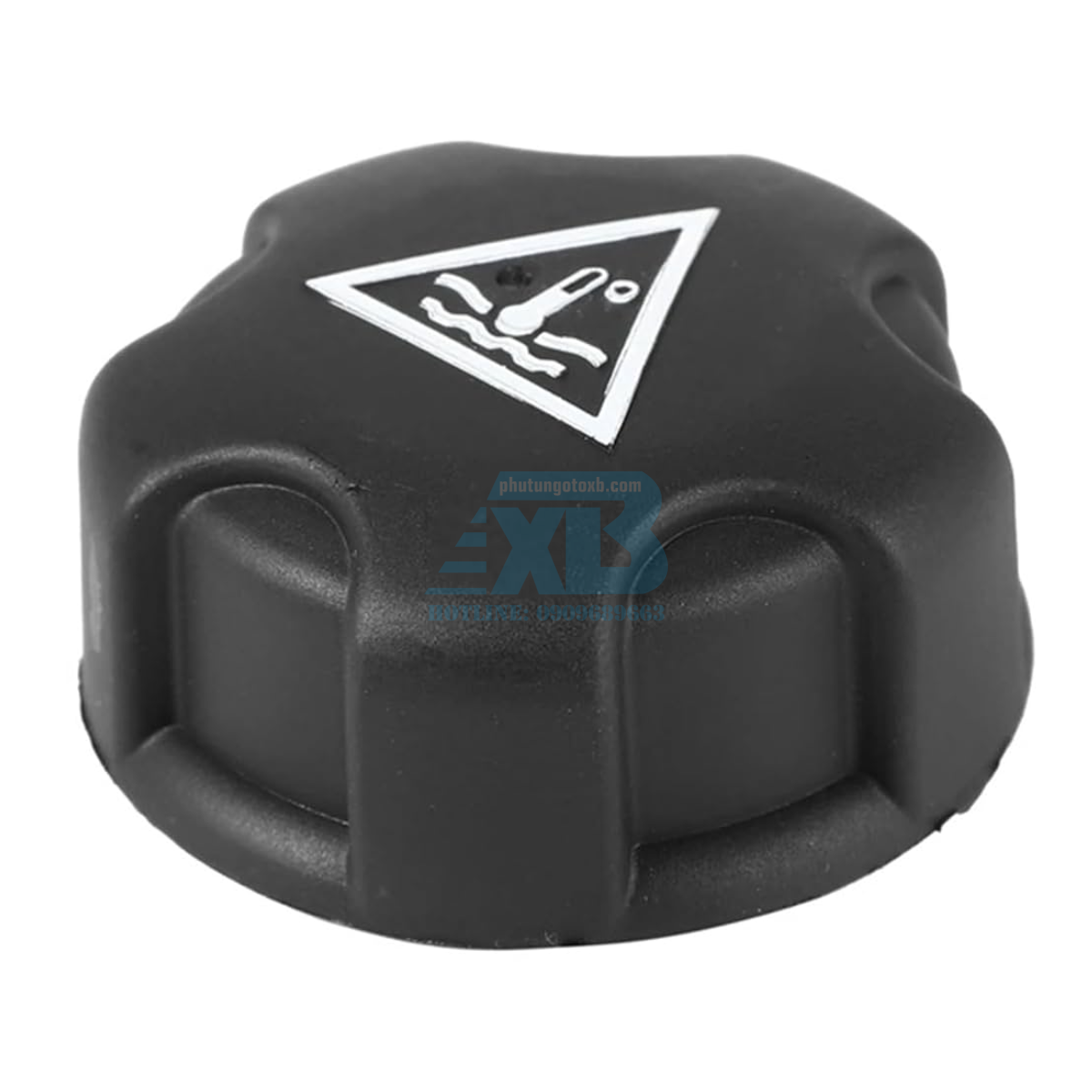 Nắp bình nước phụ Peugoet 308,408,406,3008,5008 TH