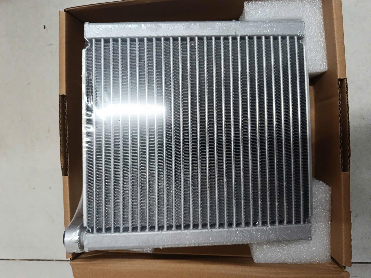 Dàn lạnh trước Ford Ecosport 2015-2017 TH