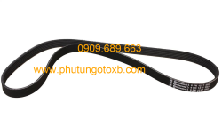 Dây curoa máy phát Ford Focus 2.0 2009-2011 TH( xe máy dầu)