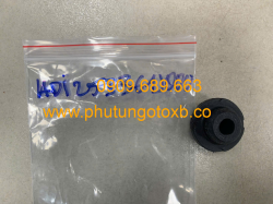 Cao su két nước Hyundai Grand I10 2014-2016 TH Ford Everest 2009