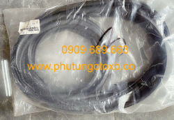 Ron cốp sau Kia Carnival 2021-2023 CH