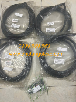 Ron khung cửa Toyota Hilux Double Cab 2015-2021 CH