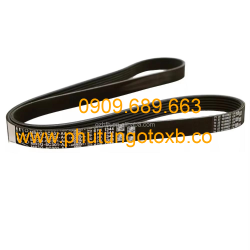 Dây curoa máy phát Ford Ranger 2024-2025 CH