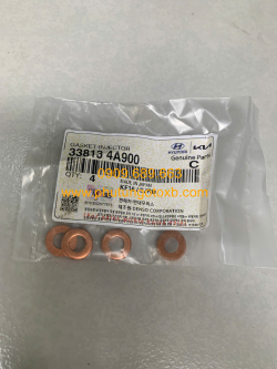 Long đền kim phun Hyundai Solati CH