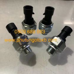 Cảm biến báo dầu nhớt Chevrolet Captiva CH
