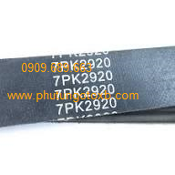 Dây curoa máy phát Ford Transit 2024-2026 CH(7PK2920)