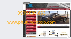 Ốp biển số Ford Transit 2023-2025 CH