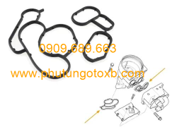 Ron sinh hàn nhớt BMW 318i 2003 TH( số 6)