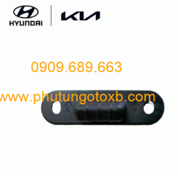 Cữ âm dương cửa lùa Kia Sedona 2017 CH