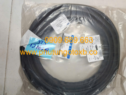 Ron khung cửa trước Ford Focus 2012-2018 CH