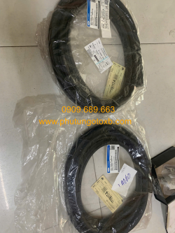 Ron khung cửa sau Ford Ranger 2012-2015 Ch