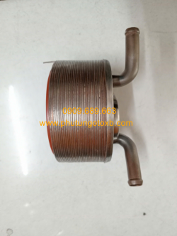 Két giải nhiệt nhớt Mitsubishi Triton 2009-2018, Pajero Sport 2010-2016(Xương hàn nhớt) TH