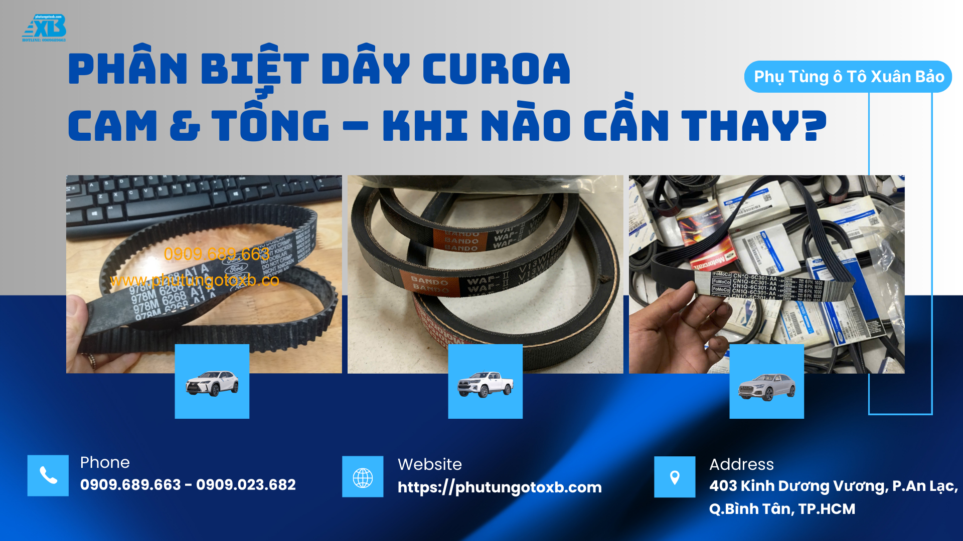 Phân Biệt Dây Curoa Cam & Tổng – Khi Nào Cần Thay?